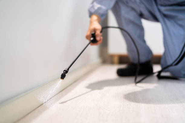 Licensed Termite Control service in Macon, GA - Nex Pest Control