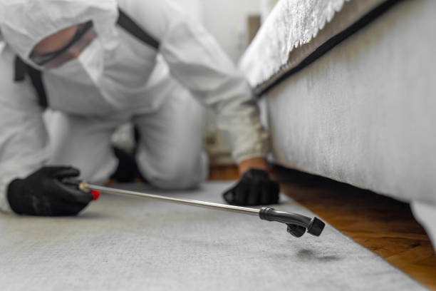 Professional Termite Control technician working in Macon, GA