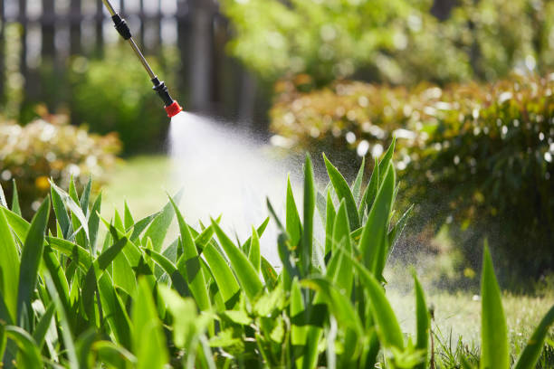 24/7 Emergency Termite Control experts in Macon, GA