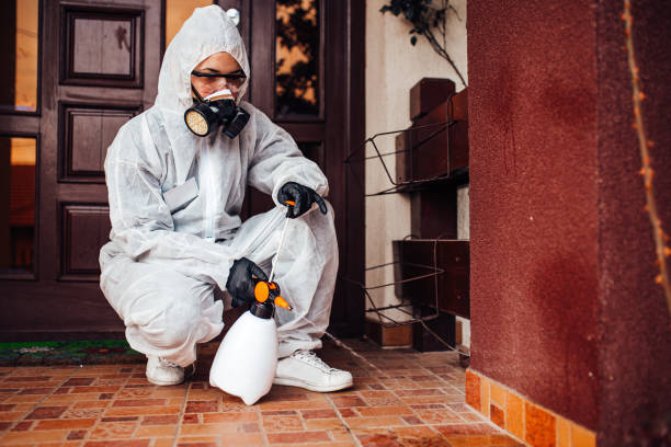 Reliable Termite Control contractor in Macon, GA by Nex Pest Control