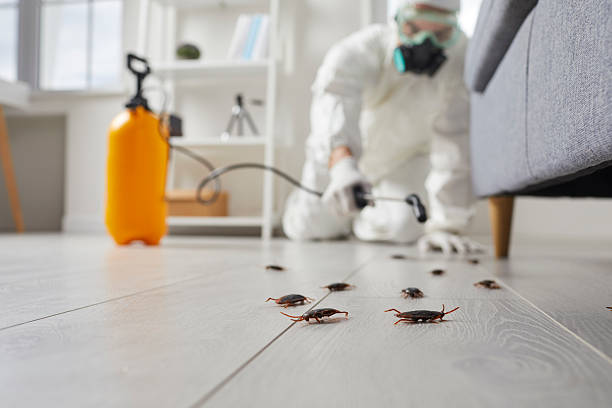 Affordable Termite Control solutions in Macon, GA